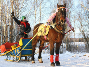 Новый год весело - катание на лошадях зимой