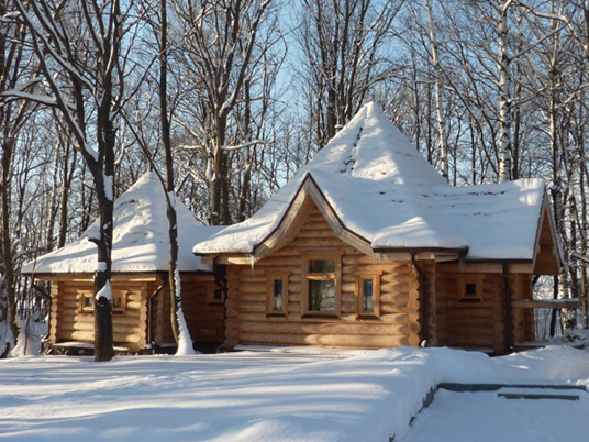 Русская баня